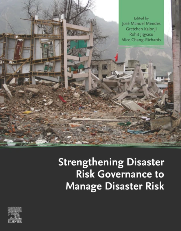 Strengthening Disaster Risk Governance to Manage Disaster Risk