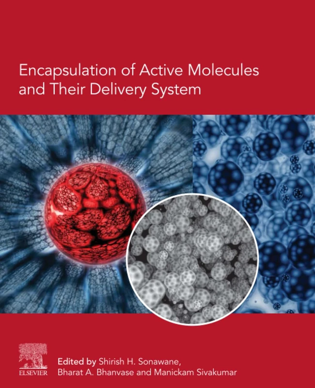 Encapsulation of Active Molecules and Their Delivery System