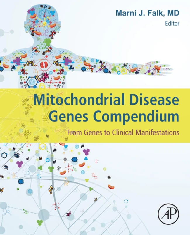 Mitochondrial Disease Genes Compendium: From Genes to Clinical Manifestations