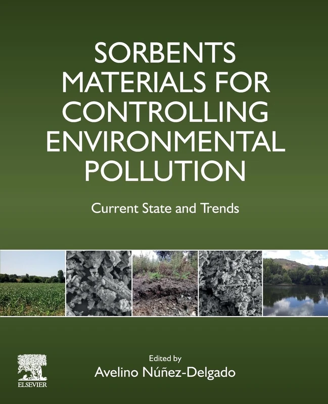 Sorbents Materials for Controlling Environmental Pollution: Current State and Trends