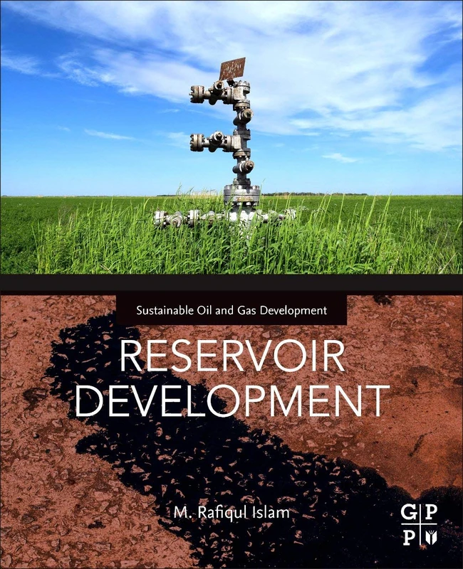 Reservoir Development - Gulf Professional Publishing Book