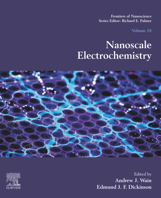 Nanoscale Electrochemistry: Volume 18 (Frontiers of Nanoscience, Volume 18)