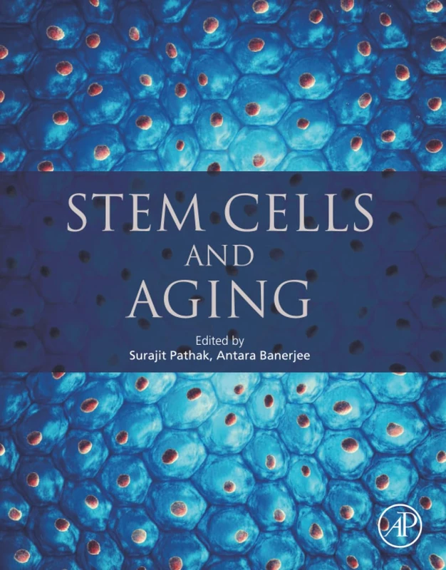 Stem Cells and Aging - Image 1