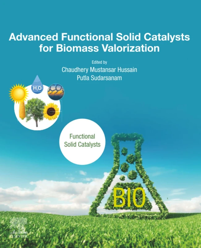 Advanced Functional Solid Catalysts for Biomass Valorization