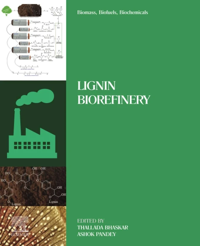 Biomass, Biofuels, Biochemicals: Lignin Biorefinery - Image 1
