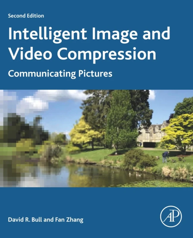 Intelligent Image and Video Compression: Communicating Pictures - Image 1
