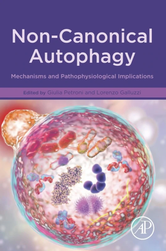 Non-Canonical Autophagy: Mechanisms and Pathophysiological Implications