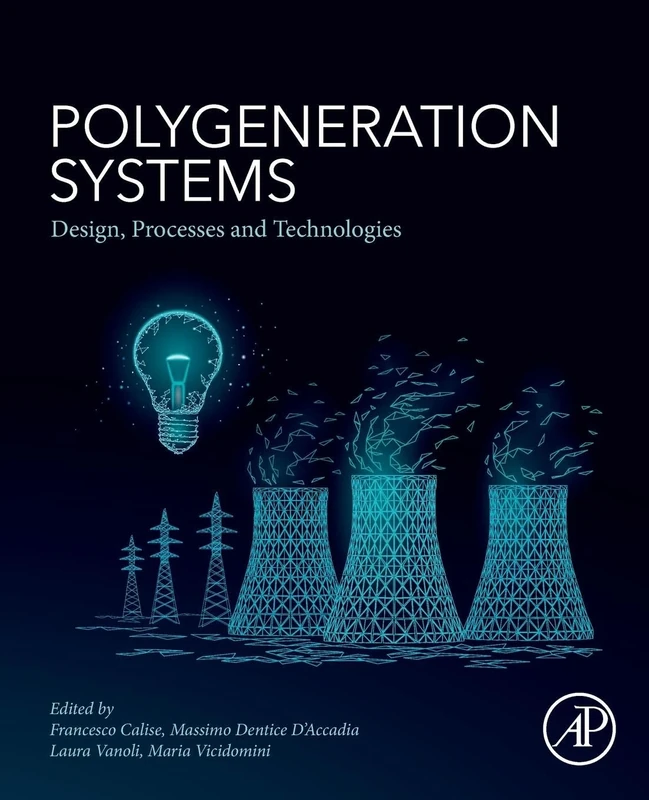 Polygeneration Systems: Design, Processes and Technologies - Image 1