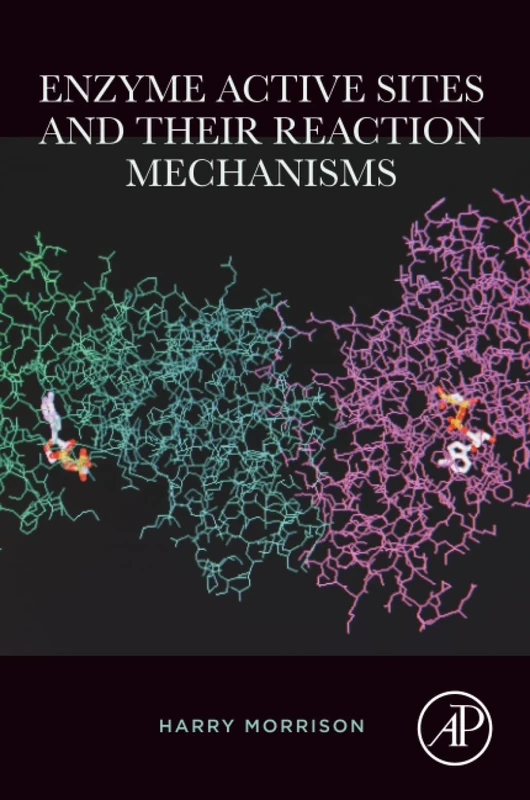 Enzyme Active Sites and their Reaction Mechanisms