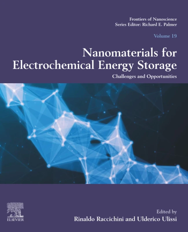 Nanomaterials for Electrochemical Energy Storage: Challenges and Opportunities: Volume 19 (Frontiers of Nanoscience, Volume 19)