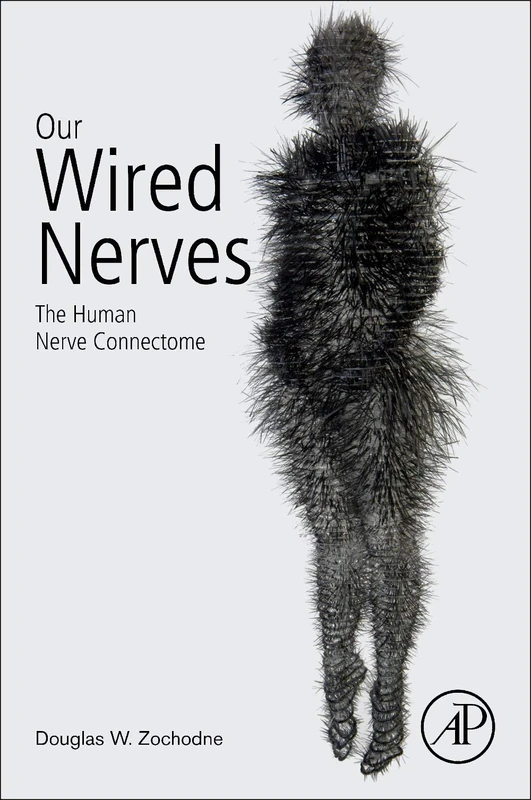 Our Wired Nerves: The Human Nerve Connectome - Image 1
