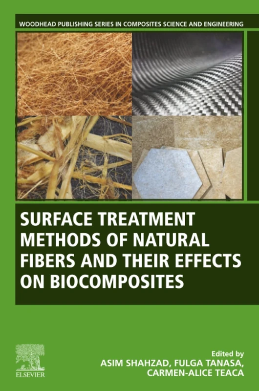 Surface Treatment Methods of Natural Fibres and their Effects on Biocomposites (Woodhead Publishing Series in Composites Science and Engineering)