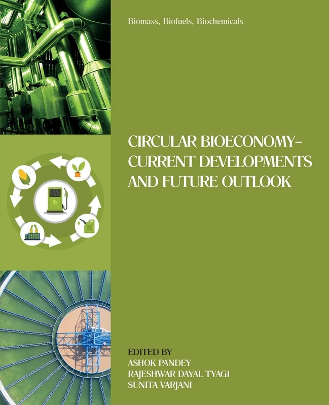 Biomass, Biofuels, Biochemicals: Circular Bioeconomy―Current Developments and Future Outlook