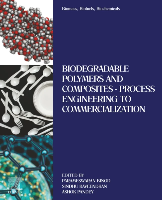Biomass, Biofuels, Biochemicals: Biodegradable Polymers and Composites - Process Engineering to Commercialization - Image 1