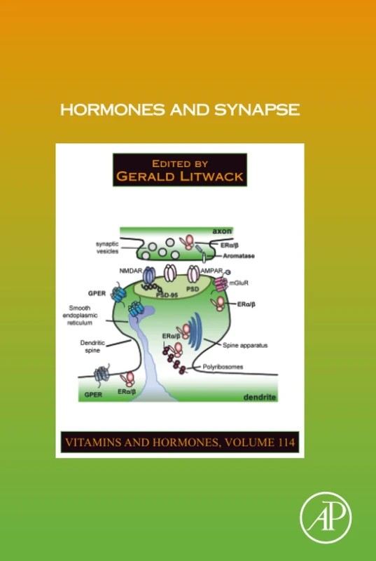 Hormones and Synapse: Volume 114 (Vitamins and Hormones, Volume 114)