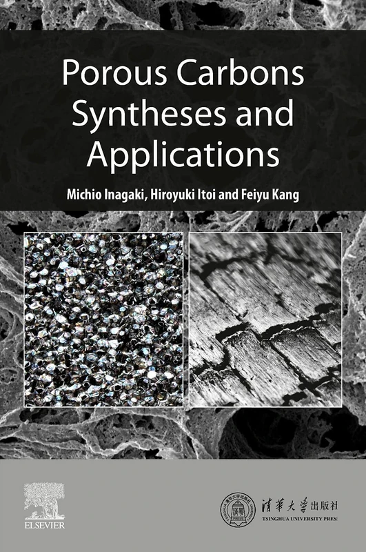 Porous Carbons: Syntheses and Applications