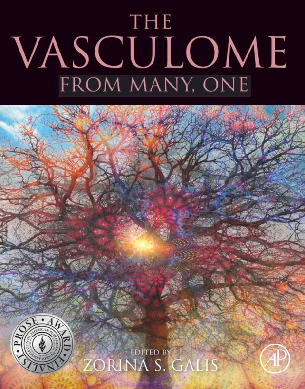The Vasculome: From Many, One