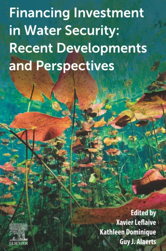 Financing Investment in Water Security: Recent Developments and Perspectives