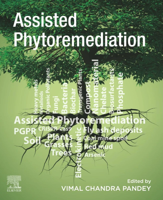 Assisted Phytoremediation: Potential Tools to Enhance Plant Performance