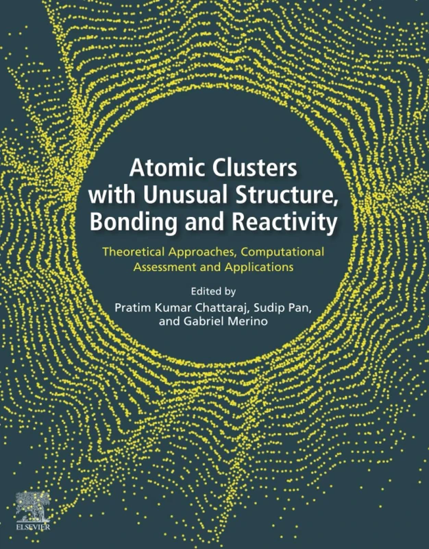 Atomic Clusters with Unusual Structure, Bonding and Reactivity: Theoretical Approaches, Computational Assessment and Applications
