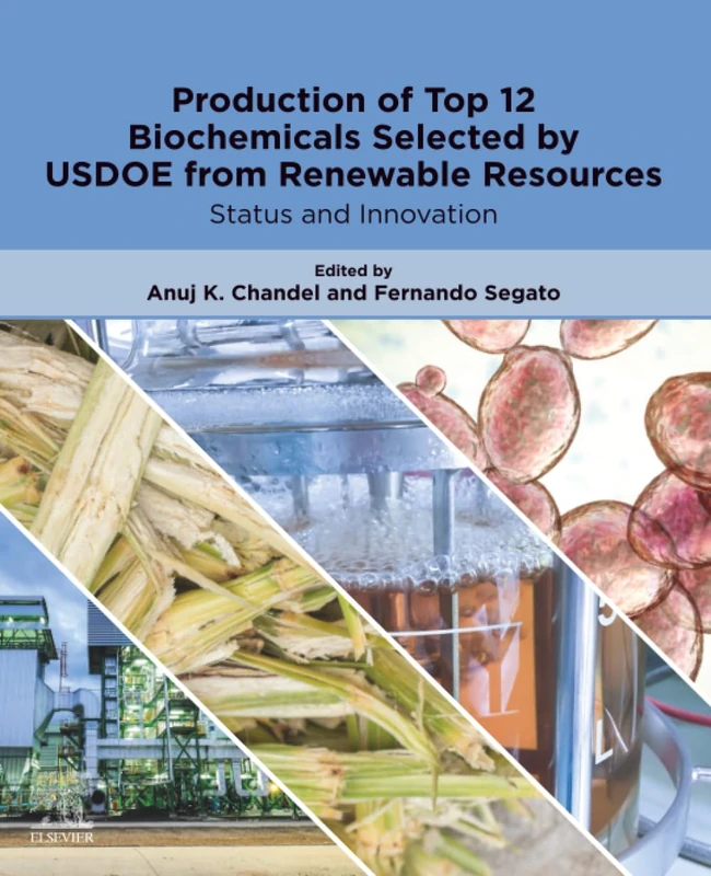 Production of Top 12 Biochemicals Selected by USDOE from Renewable Resources: Status and Innovation - Image 1
