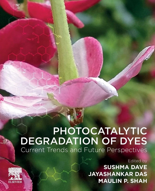 Photocatalytic Degradation of Dyes: Current Trends and Future Perspectives - Image 1
