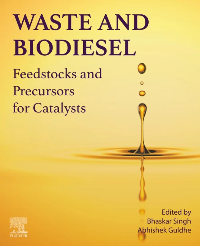 Waste and Biodiesel: Feedstocks and Precursors for Catalysts