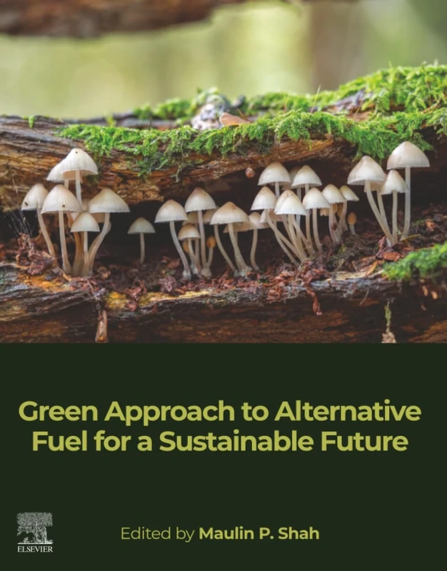 Green Approach to Alternative Fuel for a Sustainable Future