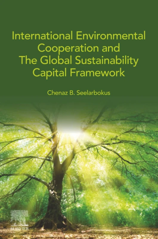 International Environmental Cooperation and The Global Sustainability Capital Framework - Image 1