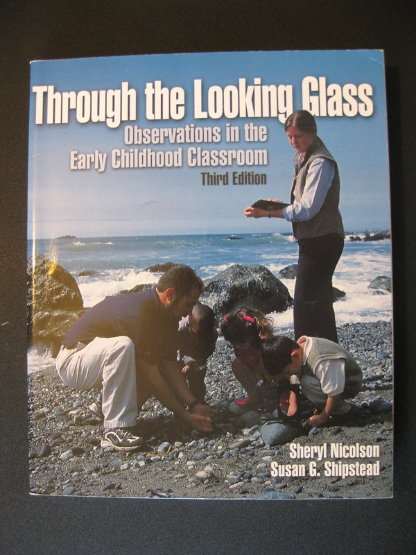Through the Looking Glass: Observations in the Early Childhood Classroom - Image 1