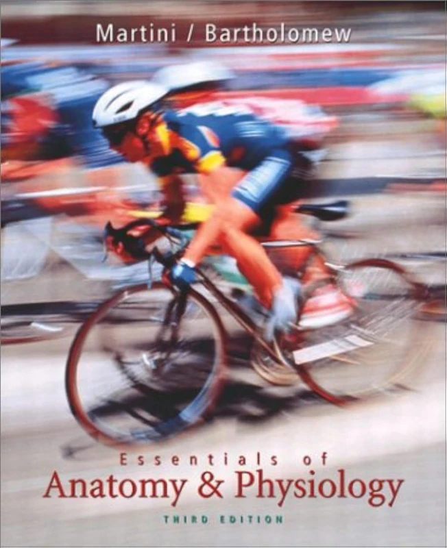 Essentials of Anatomy and Physiology: United States Edition