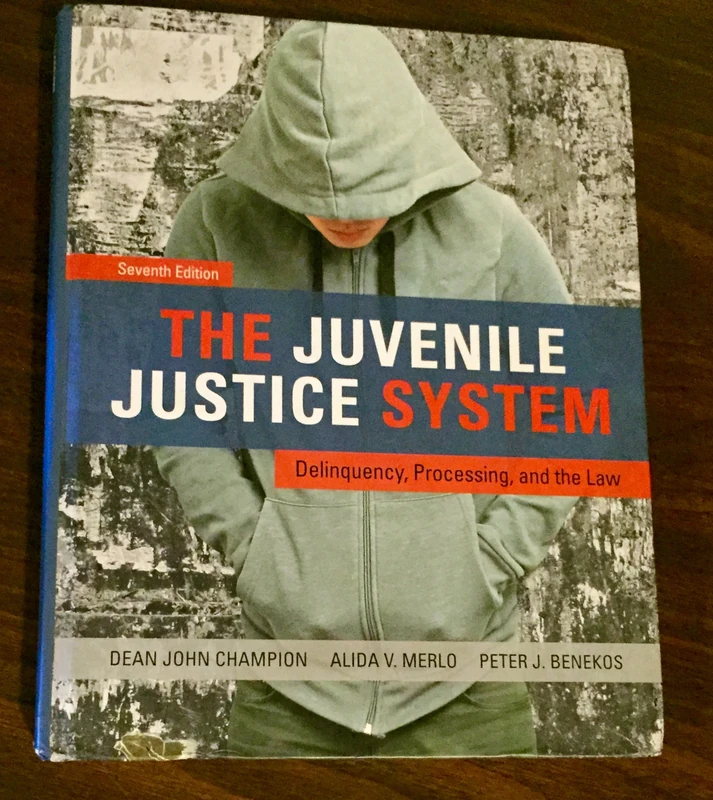 The Juvenile Justice System: Delinquency, Processing, and the Law
