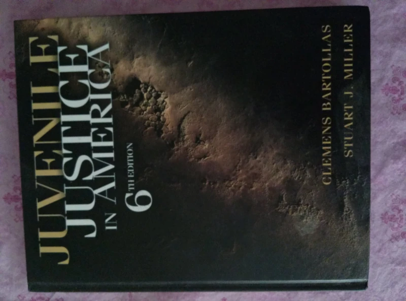 Juvenile Justice in America