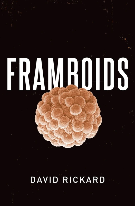 Framboids - Image 1