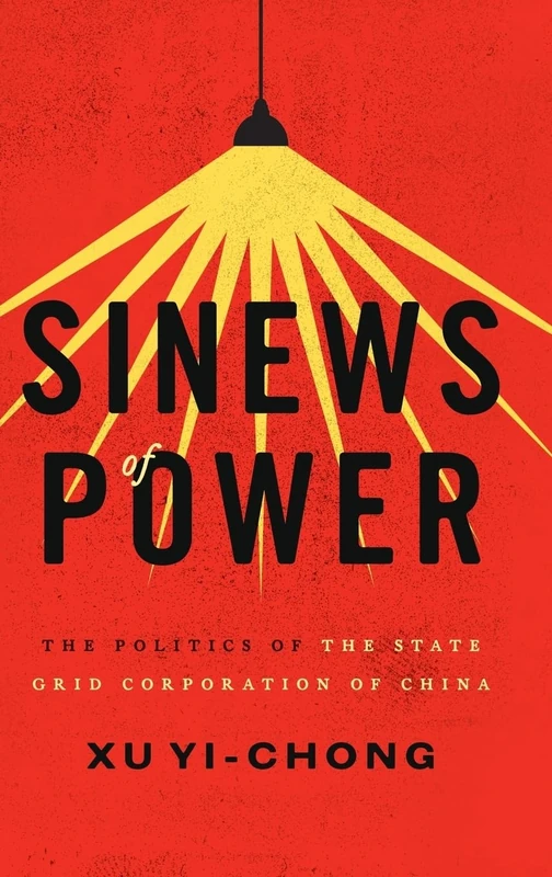 Sinews of Power: Politics of the State Grid Corporation of China