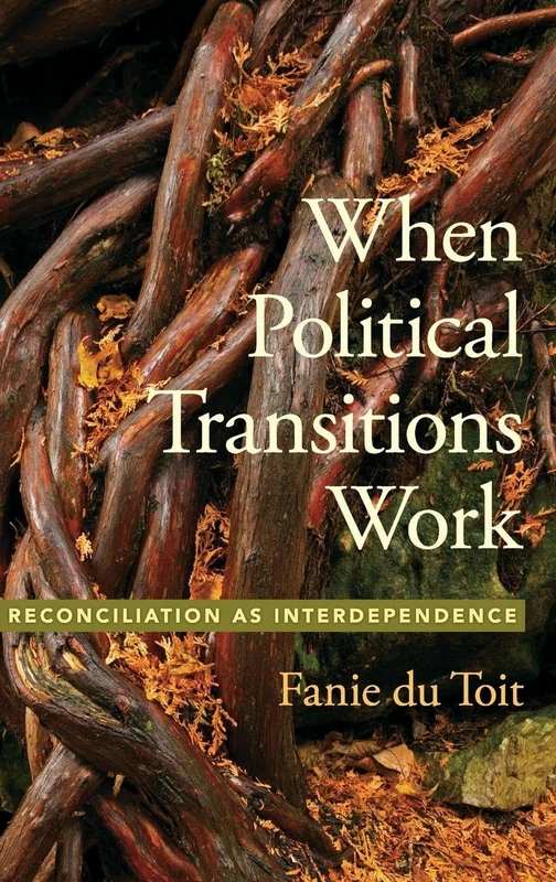 When Political Transitions Work: Reconciliation as Interdependence (Studies in Strategic Peacebuilding)