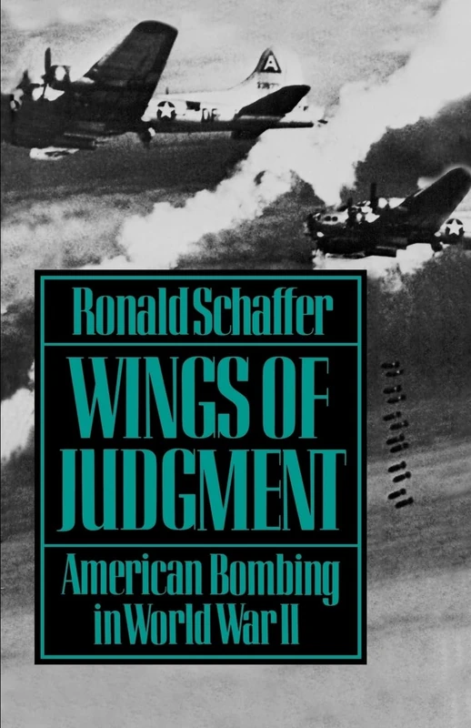 Wings of Judgment : American Bombing in World War II