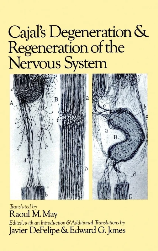 Cajal's Degeneration and Regeneration of the Nervous System: 5 (History of Neuroscience)