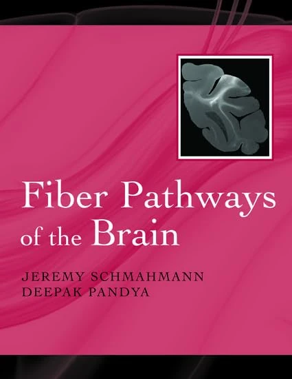 Fiber Pathways of the Brain - Image 1