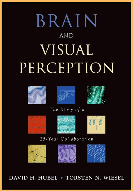 Brain and Visual Perception: The Story of a 25-year Collaboration