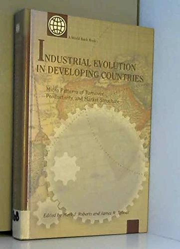 Industrial evolution in developing countries: micro patterns of turnover, productivity and market structure