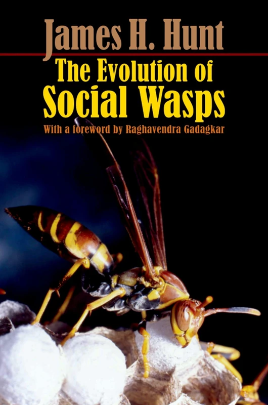 The Evolution Of Social Wasps - Image 1