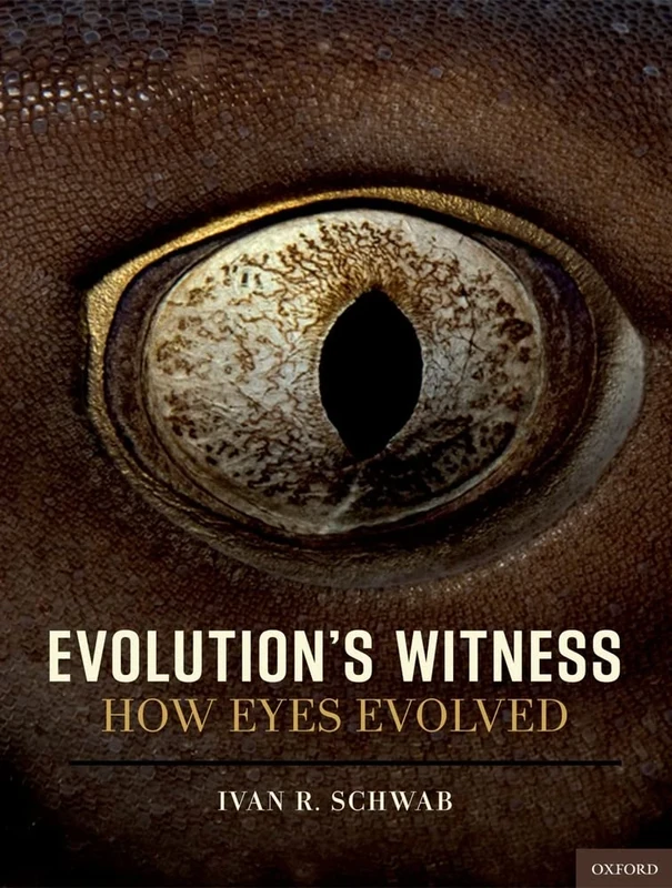 Evolution's Witness: How eyes evolved
