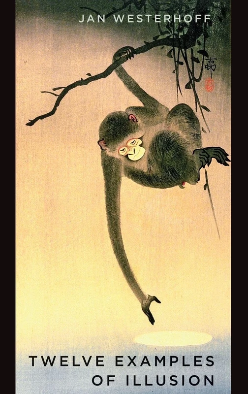 Twelve Examples of Illusion