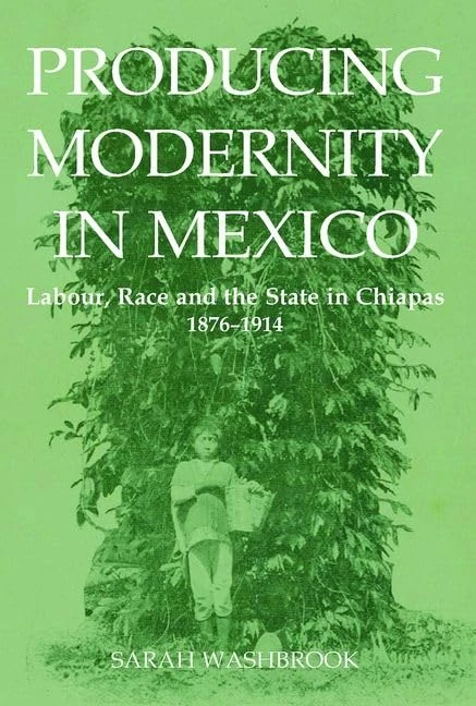 Producing Modernity in Mexico: Labour, Race, and the State in Chiapas, 1876-1914 (British Academy Postdoctoral Fellowship Monographs)
