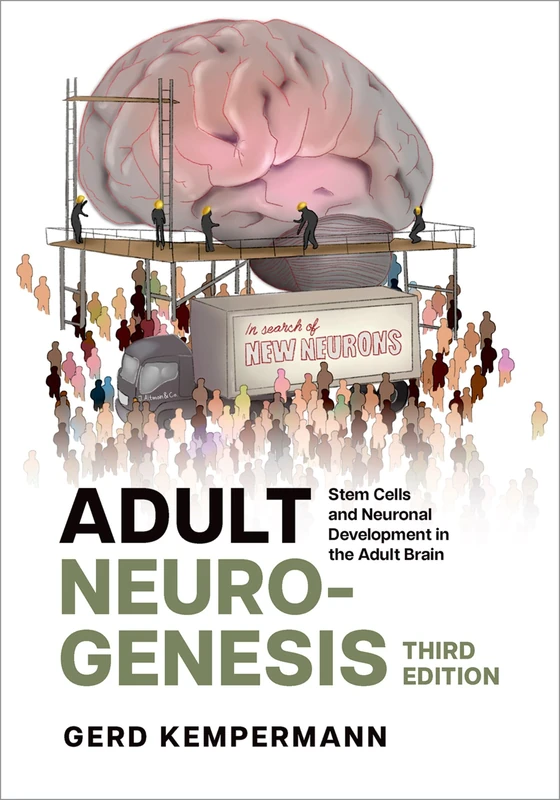Adult Neurogenesis: Stem Cells and Neuronal Development in the Adult Brain - Image 1