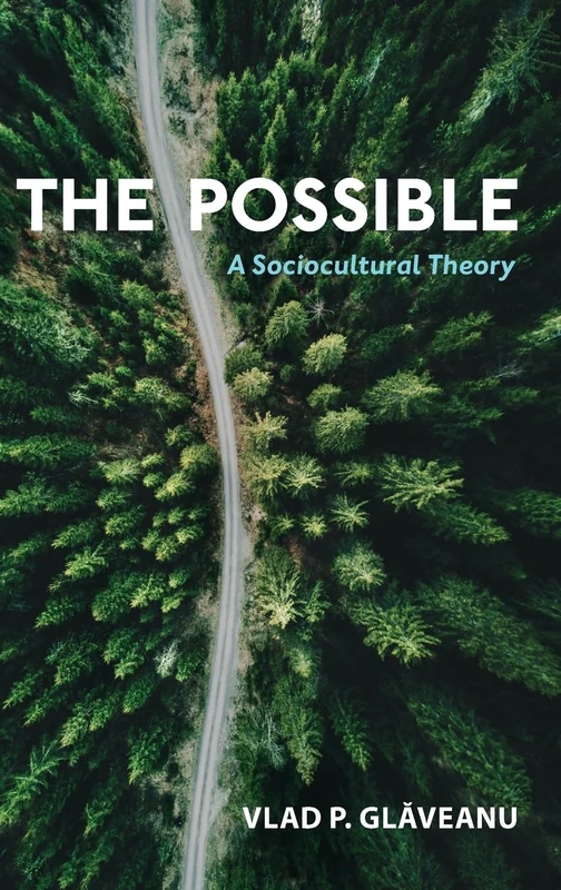 The Possible: A Sociocultural Theory - Image 1