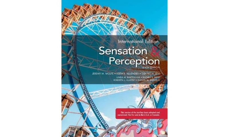 Sensation and Perception