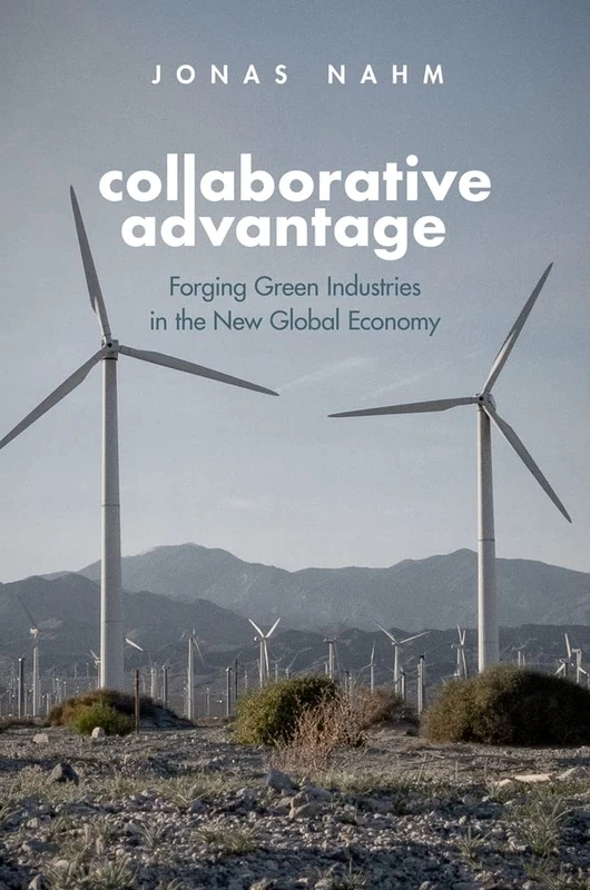 Collaborative Advantage: Forging Green Industries in the New Global Economy - Image 1