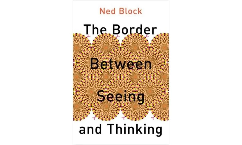 The Border Between Seeing and Thinking: A Chronical of 500 Days (PHILOSOPHY OF MIND SERIES)